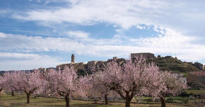 Tossal Del Maig Villa Barbara Bagian luar foto